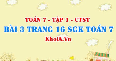 Bài 3 trang 16 SGK Toán 7 tập 1 Chân trời sáng tạo